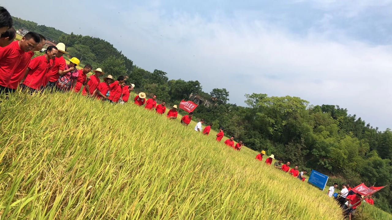 郴州市金土地化肥有限公司,湖南配方肥定點(diǎn)加工,林木肥銷(xiāo)售,有機(jī)肥質(zhì)量